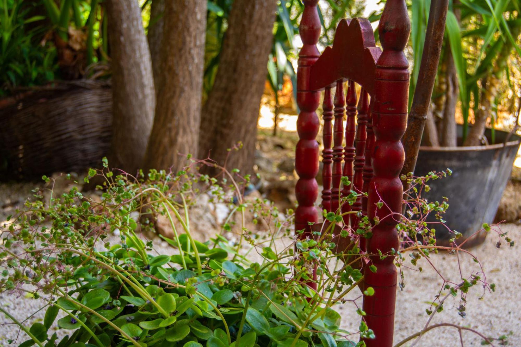 Alojamiento Rural Las Acacias กาบรา ภายนอก รูปภาพ